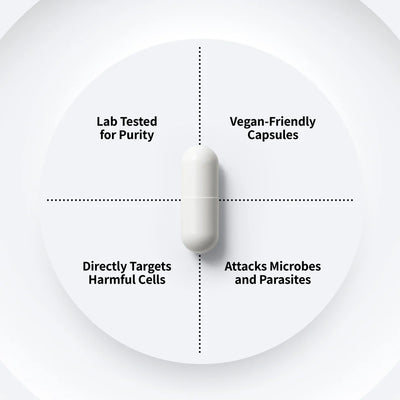 Gut Reset